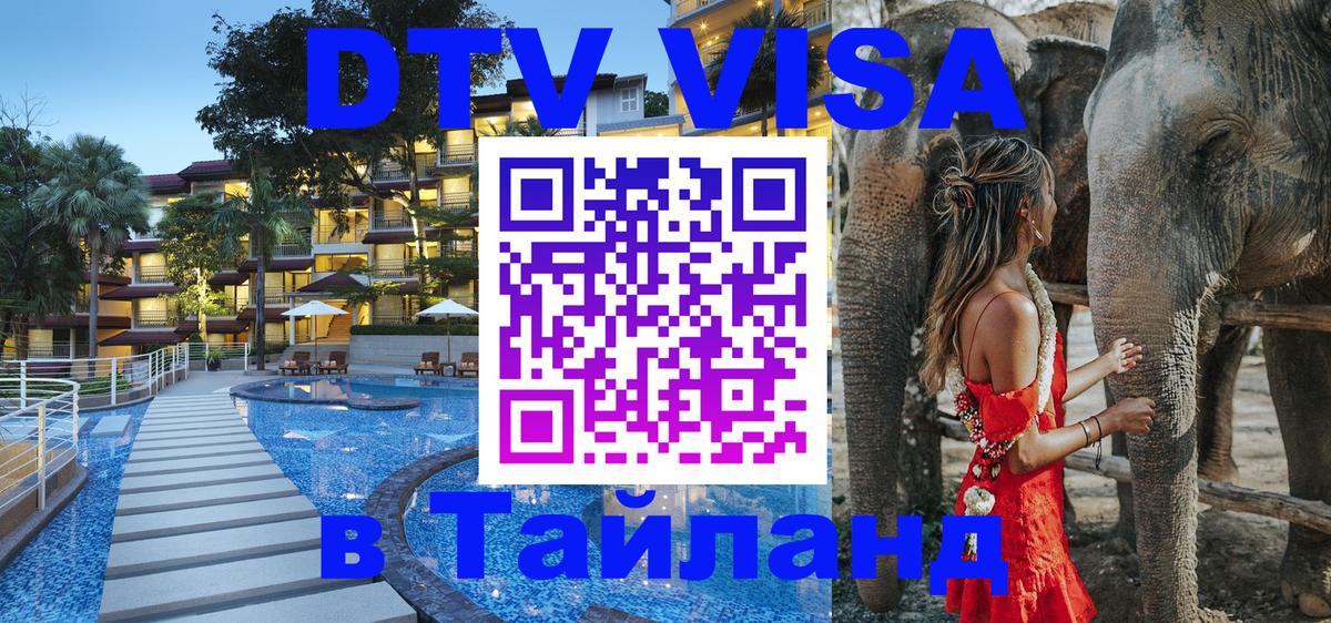 Сколько стоит DTV виза — актуальные цены, оформление даже без документов - 19.11.2025 